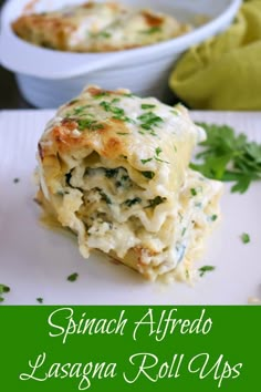 spinach alfredo lasagna roll ups on a white plate with a green border