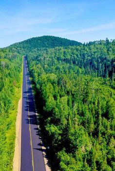 an aerial view of a road in the middle of a forest with trees on both sides