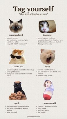 a poster with different types of cats on it's back and front sides, including the words tag yourself