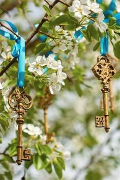 three old keys hanging from a tree with flowers in the background and blue ribbon around them