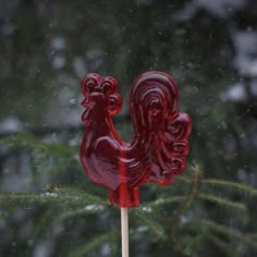 a red lollipop sitting on top of a wooden stick in front of a pine tree