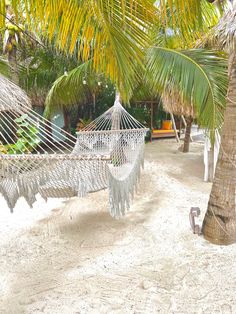 Aruba Private Beach Aesthetic, Aruba Aesthetics, Wallpaper Beach Aesthetic, Aesthetic Beach Wallpaper, Aruba Beach, Wallpaper Beach, Beach Hammock, Vacation Aesthetic, Palm Trees Beach