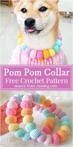 a small dog wearing a collar made out of crochet beads with the text pom pom collar free crochet pattern