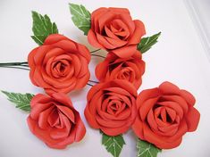 five red roses with green leaves on a white surface