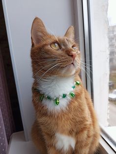 an orange and white cat sitting on top of a window sill