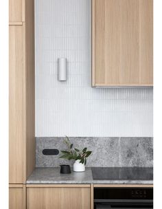 a kitchen counter with a potted plant on it