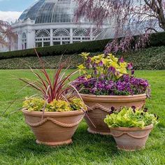 three flower pots sitting on top of green grass