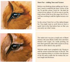 an image of two pictures of the same animal's eye and their description in text