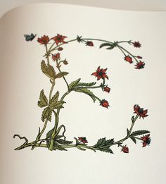 an open book with red flowers and green leaves on it's cover is shown