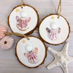 three seashell ornaments are hanging on wood slices with starfish and sea shells in the background