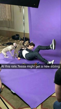 a man laying on top of a purple mat next to two puppies in front of a camera