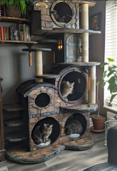 two cats sitting on top of a cat tree