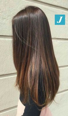 Natural Highlights Straight Hair, Balage Hair Brown Straight, Long Thick Brown Hair Straight, Beautiful Straight Hair, Long Straight Hair Balayage, Straight Brown Hair Balayage, Hair Color Ideas For Straight Hair, Highlights For Straight Hair, Hair Highlights Straight