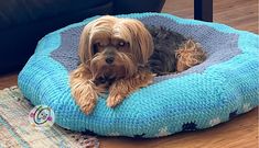 a small dog laying on top of a blue pet bed