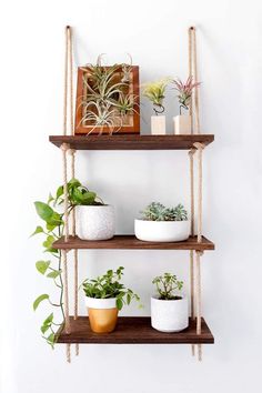 three wooden shelves with plants and potted plants on them, hanging from the wall