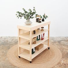 a wooden shelf with various items on it and a potted plant in the middle