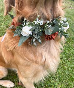 a golden retriever dog wearing a flower crown on its head, sitting in the grass