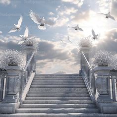 there are many birds flying over the steps and railings that lead up to the sky