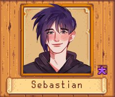 an avatar is shown with the name sebastian in front of it, and there's a