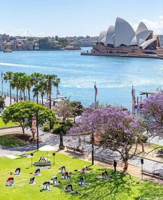 people are doing yoga in front of the sydney opera house, australia's most famous landmark