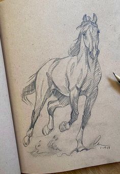 a pencil drawing of a running horse