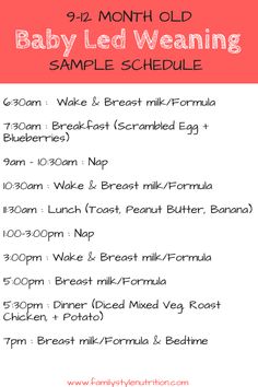 the baby led weaning sample schedule is shown in red and white with text