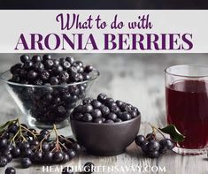 what to do with aronia berries and how to use it in the kitchen?