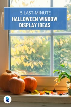 pumpkins sitting on a window sill with the words 5 last - minute halloween window display ideas