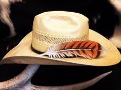 Custom leather hatband with handmade and hand painted leather feather. This exact pair has been sold, but I can make you one substantially similar. Please indicate the size of hat when ordering. Please message me with your particular design or for any additional customization, please contact me before ordering. Custom Feather Hat Bands For Country Events, Custom Hats With Feathers For Rodeo, Cowboy Fit, Chapeau Cowboy, Cowboy Art, Hand Painted Leather, Hat Band, Custom Hats, Custom Leather