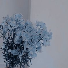 a vase filled with blue flowers on top of a table