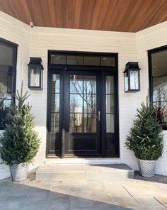 two potted plants are on the front steps of a house with black doors and windows