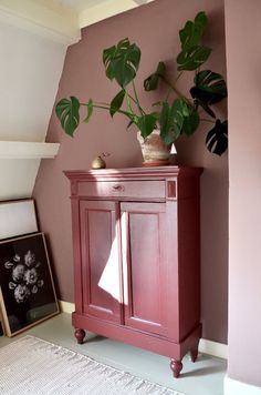 a potted plant sitting on top of a wooden cabinet next to a framed photograph