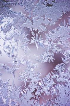 the frosted window is reflecting the sky and snowflakes on it's surface