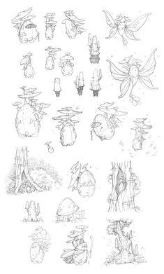 some drawings of different things in the woods