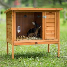 a rabbit in a small wooden cage on the grass with its door open to look like it's inside