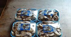 four blue trays filled with mushrooms sitting on top of a wooden table