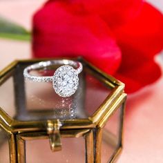 a diamond ring sitting in a glass box next to a red rose on a table