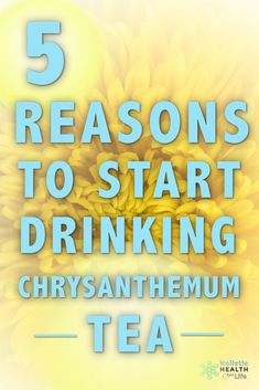 the words 5 reasons to start drinking chrysanthemum tea on a yellow background