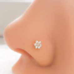 a close up view of a nose with two small flowers on it's side