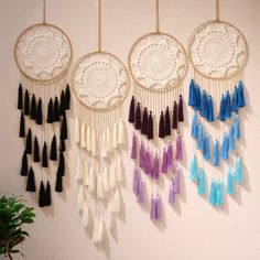 three dream catchers hanging on the wall next to a potted plant