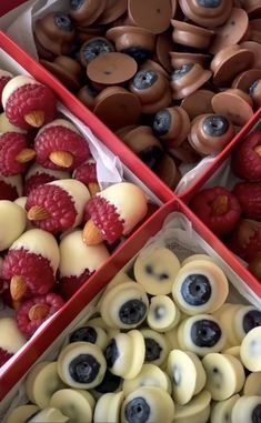 three boxes filled with different types of pastries and berries on display in front of each other