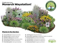 a garden with many different types of flowers and plants in it, including the name monarch waystation