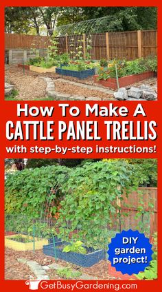 a large wire trellis arch growing over a vegetable garden with vining plants growing up and over it