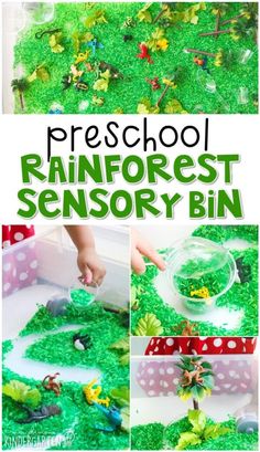 this is an easy and fun preschool activity to learn how to use the rain forest sensory bin