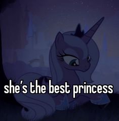 an image of a pony with the caption she's the best princess ever