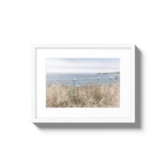 a white frame with some plants and water in the background