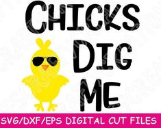 the words chicks dig me are written in black and yellow on a white background with an image of a chicken wearing sunglasses