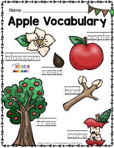 an apple themed worksheet with words and pictures