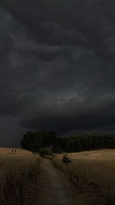 a dirt road in the middle of a wheat field under a dark sky with storm clouds