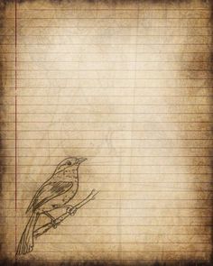 a drawing of a bird sitting on top of a piece of lined paper with lines